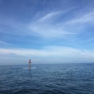 Meet your Posher, Dylan